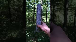 He made a 🌳 with a paper towel roll!?
Its incredibly easy to make #miniature trees with some very basic materials. I use mine for #ActionFigure display art, but you may want to use yours for wargaming, #terrain builds, custom railroad setups and more.
Watch the full build, here: https://youtu.be/8xJfzFkPc-0
Become a VASCO Toys Patron: https://www.patreon.com/VASCOToys
Browse my diorama products and subscribe to my newsletter at website: www.vascotoys.com
Or purchase items on my eBay: https://www.ebay.com/usr/vasco48_sc
Please follow me on Facebook, Instagram and Twitter:
Contact vascotoys@gmail.com for commission requests.
DISCLAIMER - VASCO Toys is part of the amazon associates program. If you click on any of the amazon product links in this blog, I will receive a small commission on those sales at no extra charge to you.
I am not responsible for any harm or injury that may be caused a result of others attempting diorama building or any of the projects seen on this channel. Build at your own risk. He made a 🌳 with a paper towel roll!?