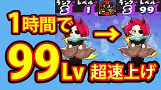 妖怪ウォッチ3 スキヤキ】超速 99 Lvアップ方法を 解説します 裏技
