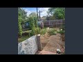 Reds Backyard