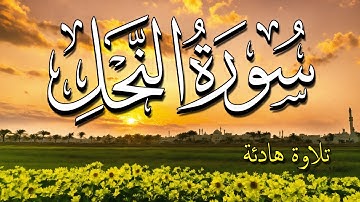 اجمل سور القران الكريم تلاوة سورة النحل بصوت جميل الشيخ بدر التركي Surah An-Nahl