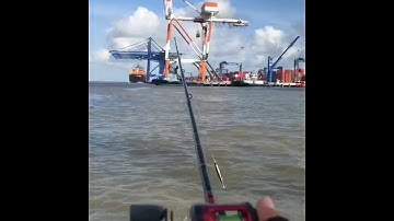 Câu cá biển tại hải phòng