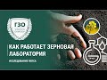 Как работает лаборатория на элеваторе