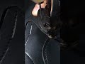 Sewing part 1.24 #asmr #sewing