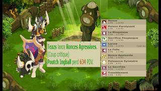 ENORME COMBAT VS XEL G8 + SURPRISE HEHE - DOFUS RETRO PVP