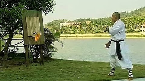 Shaolin Kung Fu rare weapons: rope-dart