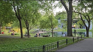 The Heart of Montreal ❤️ | Le Plateau-Mont-Royal Tour! The Heart of Montreal ❤️ | Le Plateau-Mont-Royal Tour!