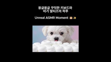 쫀득쫀득 생크림 키보드 ASMR 🐶 Creamy Keyboard ASMR: A Puppy’s Gooey Day 🐾👅