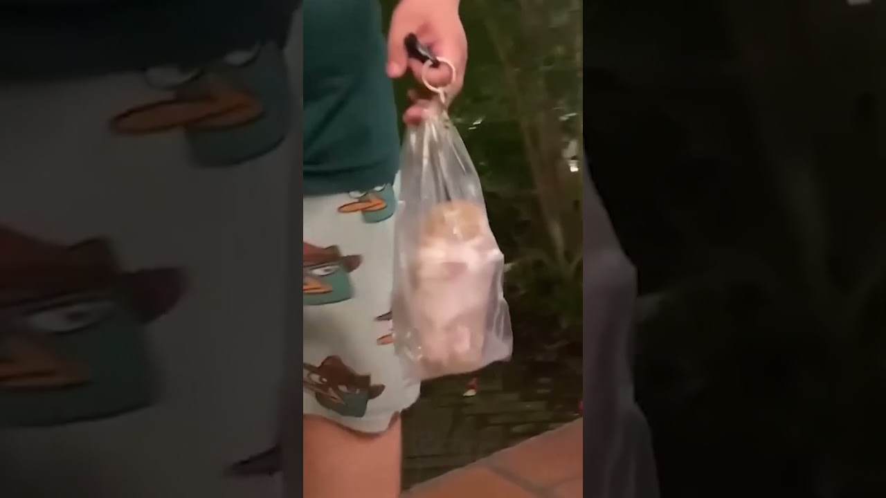 TRY NOT TO CAT LAUGH 1! 