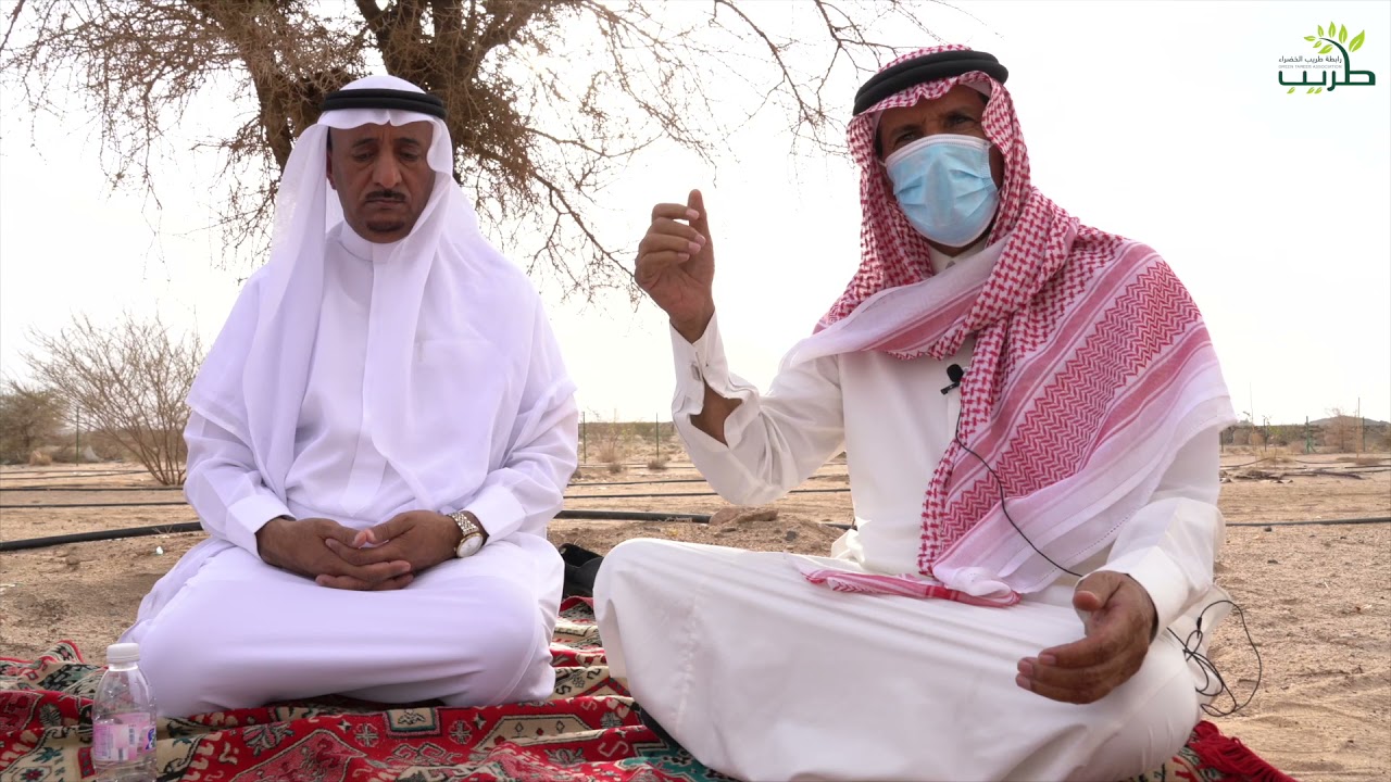 اتمام المرحلة الأولى من اعمال رابطة طريب الخضراء