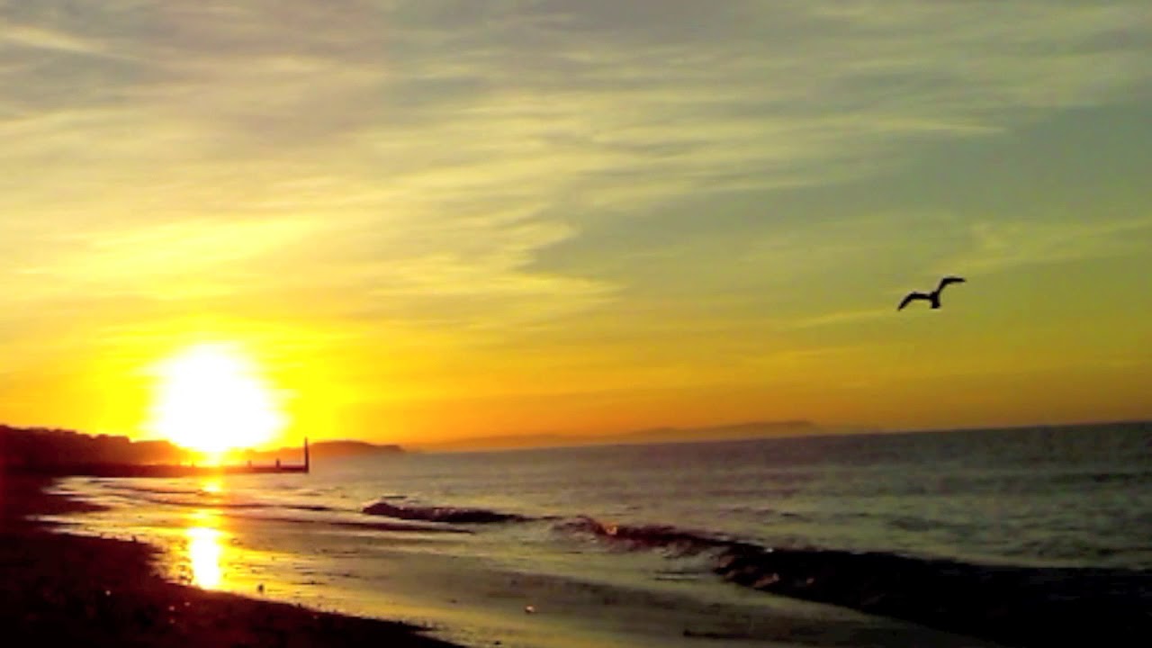Beach Harping / Southbourne Beach Dorset 26:9:18