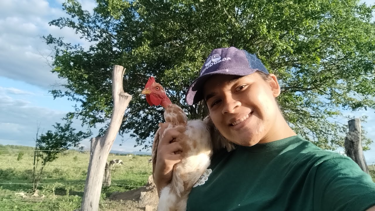 3º DIA LIMPANDO O TERRENO: A Transformação Está Cada Vez Mais Incrível! 🌱