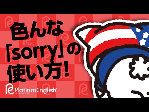 色んな「sorry」の使い方！大変申し訳ございませんでした