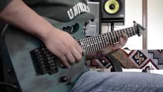 Apperception All of the Shadows guitar and bass playthrough