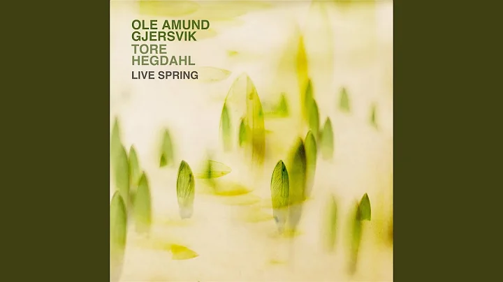 Abandoning The Wedding (Live in Aarstad Church In Bergen - March 7. 2019)