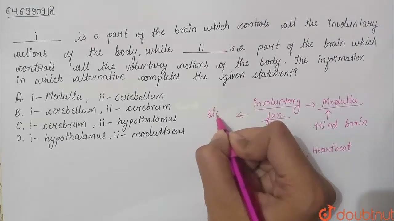 i-is-a-part-of-the-brain-which-controls-all-the-involuntary-actions