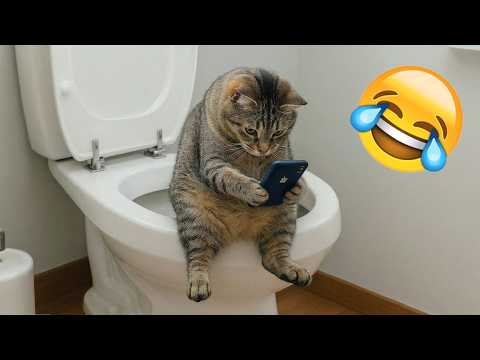 Funniest Animals 2026 😂 Best Moments Ever!