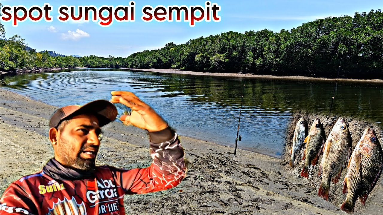 #335 spot sungai sempit teluk senangin guys..🎣🎣 