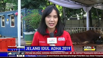 Jelang Iduladha, Masjid Istiqlal Terima Hewan Kurban dari Masyarakat Hingga Pejabat