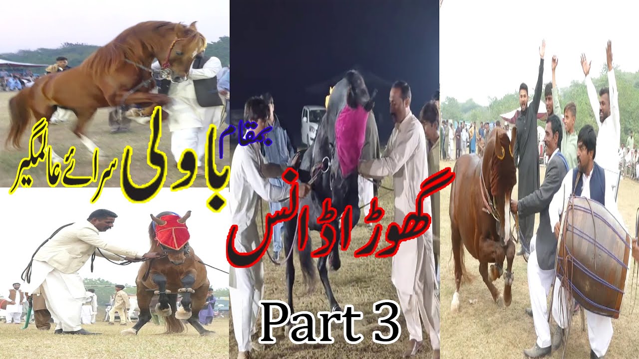 New Ghora Dance Bawli (گھوڑا ڈانس) In Sarai Alamgir 26\11\2023 Part 23...Akash Tv