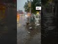 New Yorker wades through flooded street after severe thunderstorms | GMA News