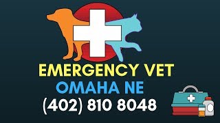 24 Hour Vet Clinic Omaha 24 Emergency Vet West Omaha Nebraska 402 810 4084