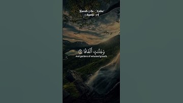 اكتب شئ تؤجر عليه#قران_كريم #المصحف #راحة_نفسية #الرحمن #تلاوة_خاشعة #اكسبلور #لايك #قران_كريم