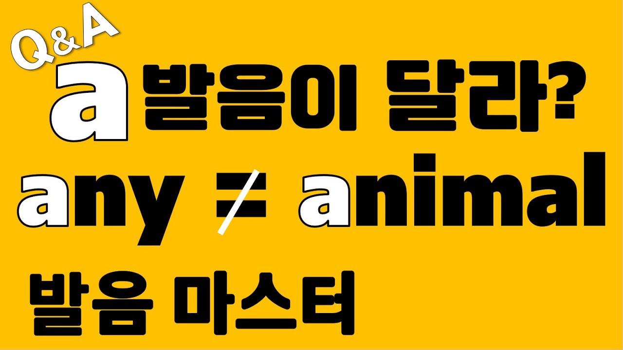 [발음Q&A 254] - any와 animal의 a발음이 다르다?/ animal 발음/ any 발음/ 원어민 발음/ how to