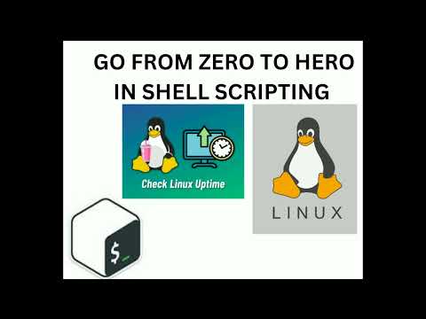 Go from zero to hero in #shell #scripting || #uptime #shorts