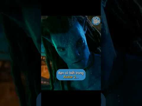 Video Bạn Có Biết Trong: Avatar 2… - youtube