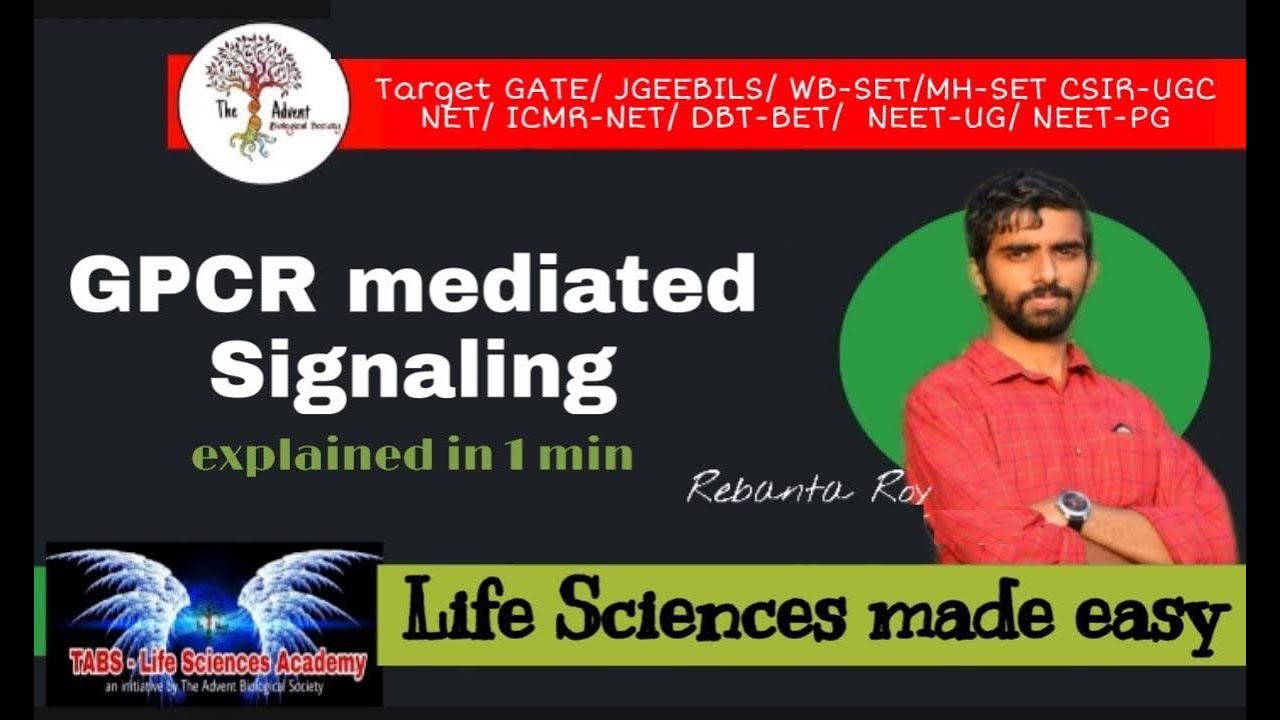 GPCR Signaling Pathway CELL SIGNALING LECTURE 2 TOPICS EXPLAINED gpcr-signaling-pathway-cell-signaling-lecture-2-topics-explained