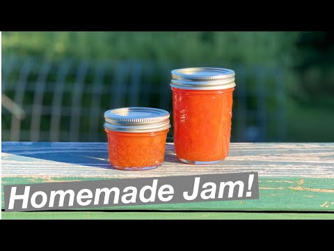 Homemade Peach Jam | Ball FreshTech Jam and Jelly Maker