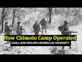 Chimoio Camp The AMAZING Logistics That Kept 10 000 ZANLA FRELIMO Cadres Alive