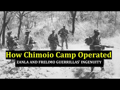 Chimoio Camp The AMAZING Logistics That Kept 10 000 ZANLA FRELIMO Cadres Alive