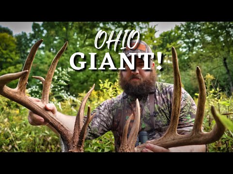 MEGA GIANT Killed Opening Day! | Ohio Bow Hunting