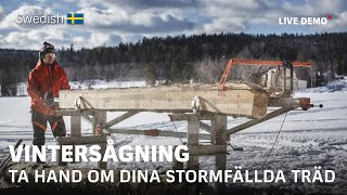 Vintersågning och tankar kring omhändertagande av stormfällda träd  LOGOSOL