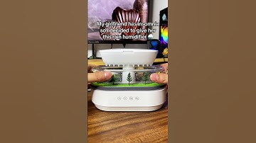 Rain makes her fall asleep 😴🌧️ #asmrsounds #raindrops #humidifier #whitenoise #diffuser