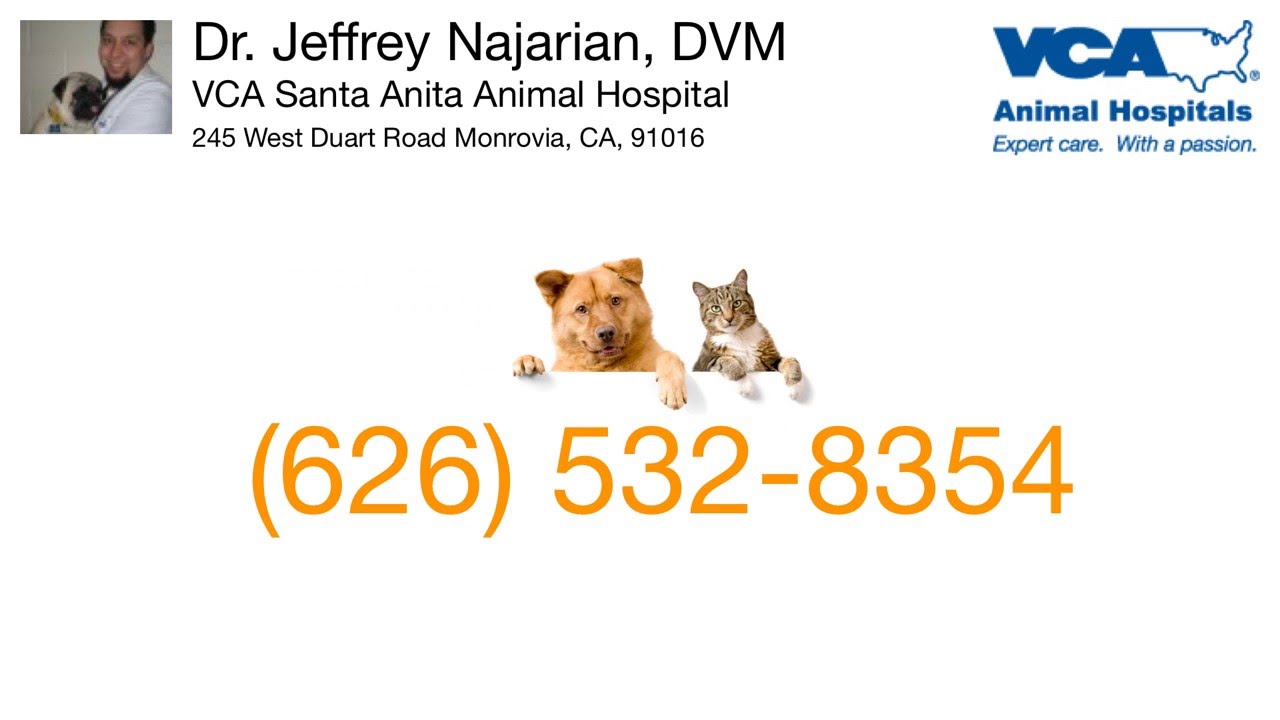 Dr. Jeffrey Najarian, DVM - (626) 532-8354 - Monrovia, CA 91016