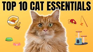 10 Essential Tips for First-Time Cat Guardians - What You Absolutely Need by Feline Facts 71 views 9 months ago 4 minutes, 16 seconds