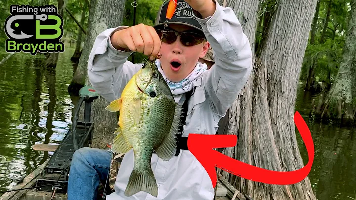 INSANE Shellcracker Fishing on Lake Marion (but th...