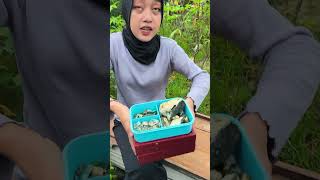 mahal ngga nya tergantung