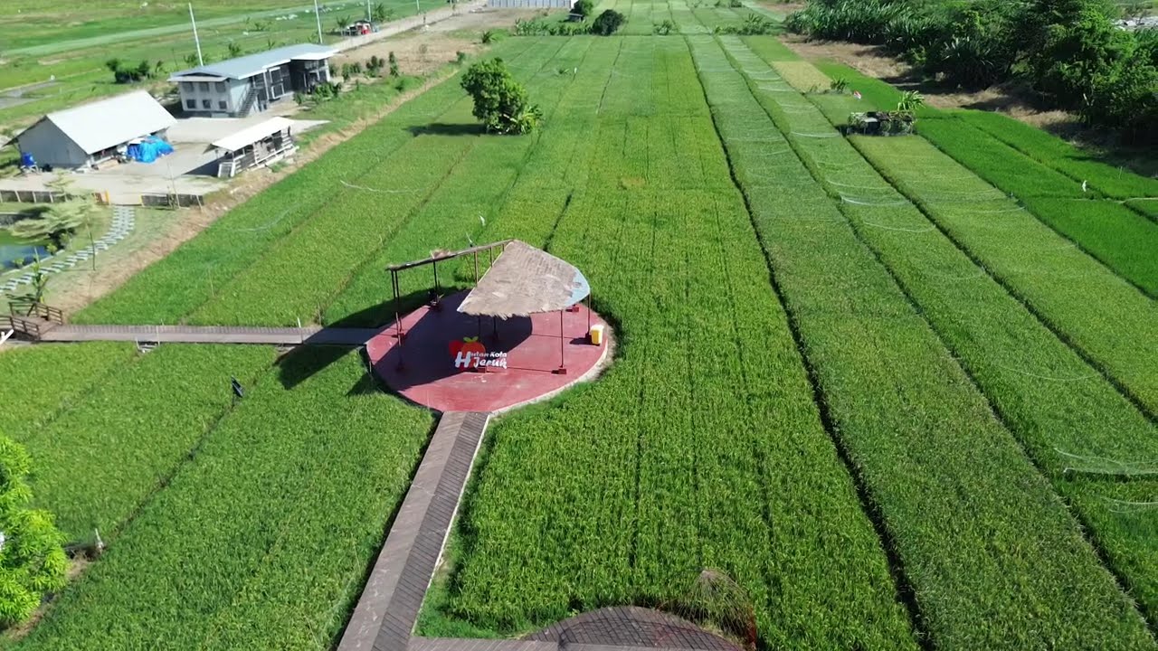 DRONE HUTAN KOTA JERUK KOTA SURABAYA POJOK