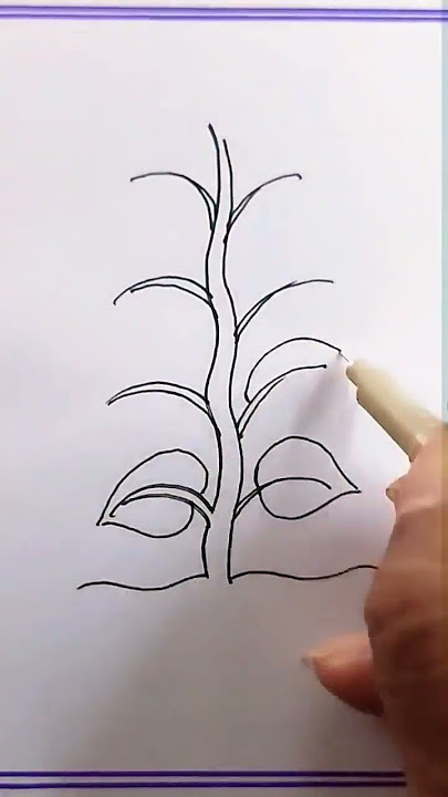 how to draw plant/how to draw parts of a plant