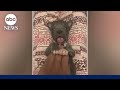 Tiny puppy saved by adoptive doggie mom finds forever home