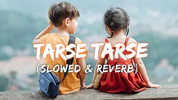 Tarse tarse _ (slowed & reverb) // love song (slowed reverb l//Romantic song/slowed and reverb