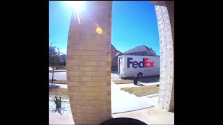 FEDEX DELIVERY FAIL #delivery #fails #shorts
