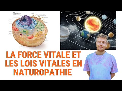 Vidéo: Pourquoi La Doctrine Du Vitalisme Est-elle Apparue ?