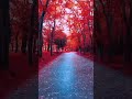 Beauty of nature part 1 #viral #4kedit #shaders
