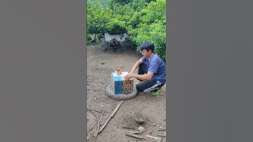 lên đường phục vụ ae đam mê🐓#thứcgàrừng86 #gàrừngtaitrắng #gàrừngrặc