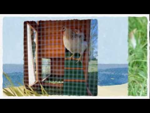 portable chicken coop on wheels - YouTube