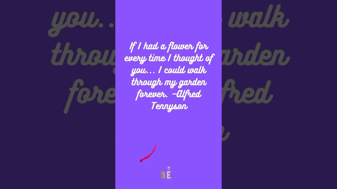 valentine week love quotes 